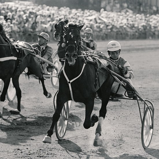 Indus og træner Lars Lindberg skærer målstregen som vinder af Dansk Trav Derby 1986 i tiden 1.17,9a/3000 meter. (Foto: Burt Seeger)